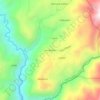 Mappa topografica San Ramón, altitudine, rilievo