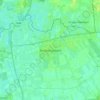 Mappa topografica Dedemsvaart, altitudine, rilievo