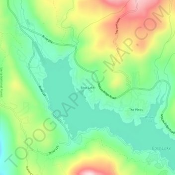 Mappa topografica Bass Lake, altitudine, rilievo