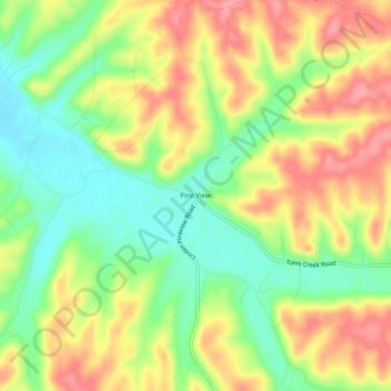 Mappa topografica Pine View, altitudine, rilievo