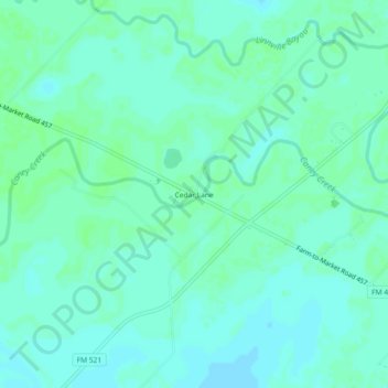 Mappa topografica Cedar Lane, altitudine, rilievo