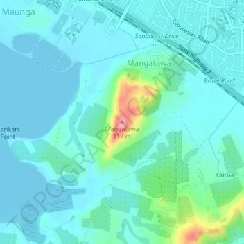 Mappa topografica Mangatawa, altitudine, rilievo