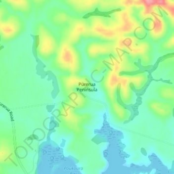 Mappa topografica Purerua Peninsula, altitudine, rilievo