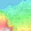 Mappa topografica Realejo Bajo, altitudine, rilievo