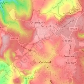 Mappa topografica Lower Berry Hill, altitudine, rilievo