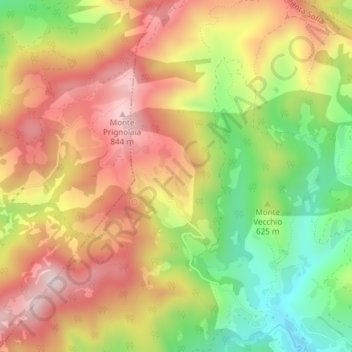Mappa topografica Roncatello, altitudine, rilievo