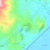 Mappa topografica El Altico, altitudine, rilievo