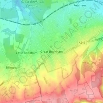 Mappa topografica Great Bookham, altitudine, rilievo
