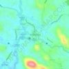 Mappa topografica Nedumangadu, altitudine, rilievo