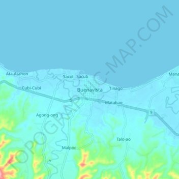 Mappa topografica Buenavista, altitudine, rilievo