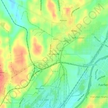 Mappa topografica Minniesville, altitudine, rilievo