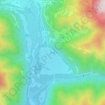 Mappa topografica Sarvisé, altitudine, rilievo