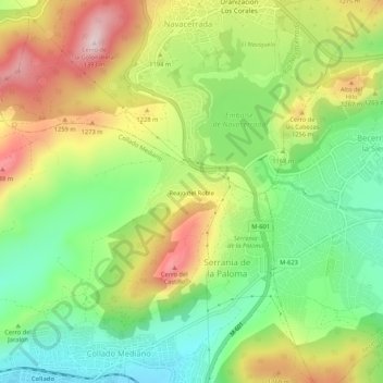 Mappa topografica Reajo del Roble, altitudine, rilievo