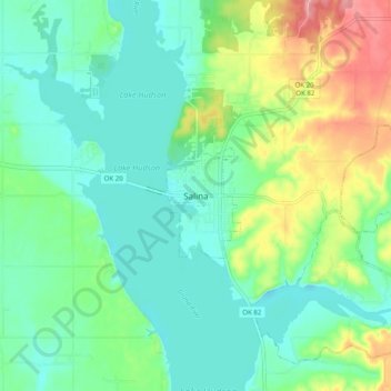 Mappa topografica Salina, altitudine, rilievo