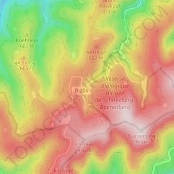 Mappa topografica Windsbourg, altitudine, rilievo
