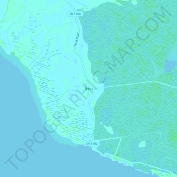 Mappa topografica Texas, altitudine, rilievo