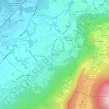 Mappa topografica Pessinges, altitudine, rilievo