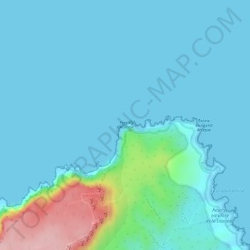 Mappa topografica Pointe à Mombin, altitudine, rilievo
