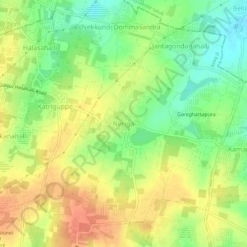 Mappa topografica Neriga, altitudine, rilievo