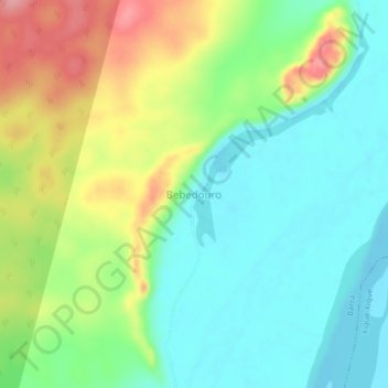 Mappa topografica Bebedouro, altitudine, rilievo