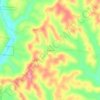 Mappa topografica Ringgold, altitudine, rilievo