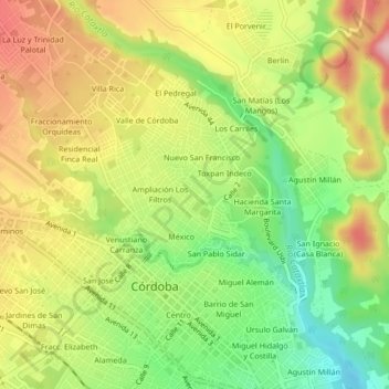 Mappa topografica Alameda Toxpan, altitudine, rilievo