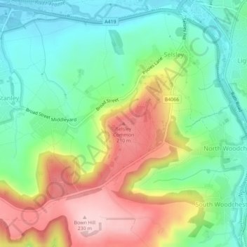 Mappa topografica Selsley Common, altitudine, rilievo