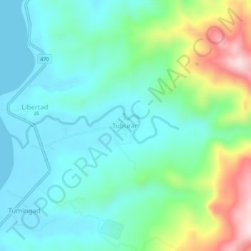 Mappa topografica Tuburan, altitudine, rilievo