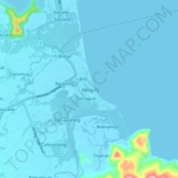 Mappa topografica Abuyog, altitudine, rilievo
