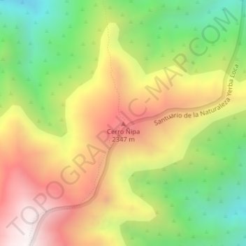 Mappa topografica Cerro Ñipa, altitudine, rilievo