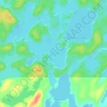 Mappa topografica Betula Lake, altitudine, rilievo