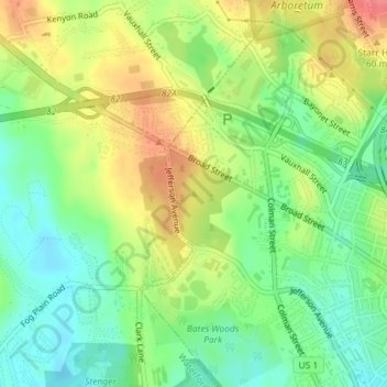 Mappa topografica Prospect Hill, altitudine, rilievo