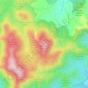 Mappa topografica Bruncu Nieddu, altitudine, rilievo