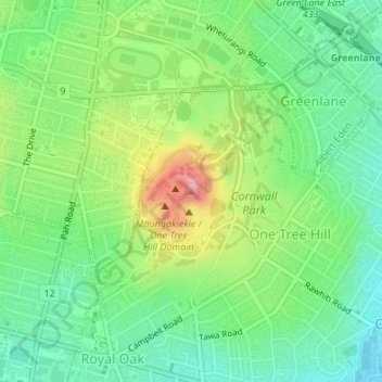 Mappa topografica One Tree Hill, altitudine, rilievo