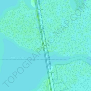 Mappa topografica Manchac, altitudine, rilievo