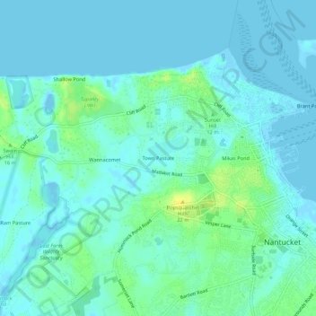 Mappa topografica Town Pasture, altitudine, rilievo