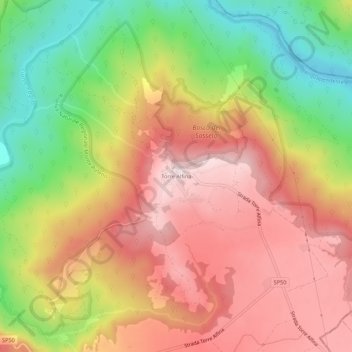 Mappa topografica Torre Alfina, altitudine, rilievo