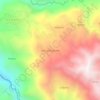 Mappa topografica San Luis la Quinta, altitudine, rilievo