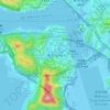 Mappa topografica 青輝新村, altitudine, rilievo