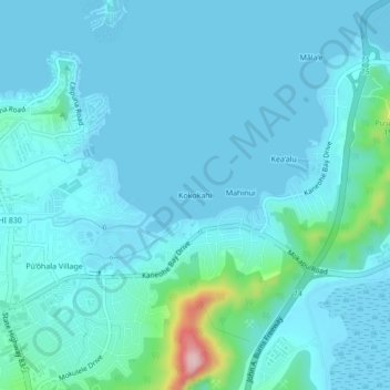 Mappa topografica Kokokahi, altitudine, rilievo