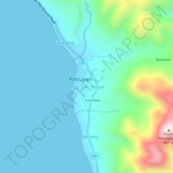 Mappa topografica Brgy. San Roque, altitudine, rilievo