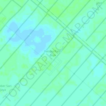 Mappa topografica Kelapa Patih Jaya, altitudine, rilievo