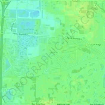 Mappa topografica Tatum, altitudine, rilievo