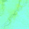 Mappa topografica Cañaveral de Afuera, altitudine, rilievo