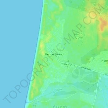 Mappa topografica Henne Strand, altitudine, rilievo