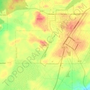 Mappa topografica Swedetown, altitudine, rilievo