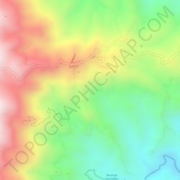 Mappa topografica Junin, altitudine, rilievo
