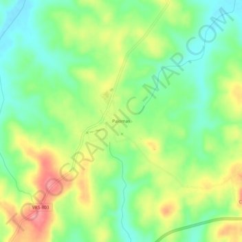 Mappa topografica Palomas, altitudine, rilievo