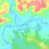 Mappa topografica Zapallo Grande, altitudine, rilievo