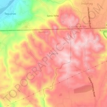 Mappa topografica Pualas, altitudine, rilievo